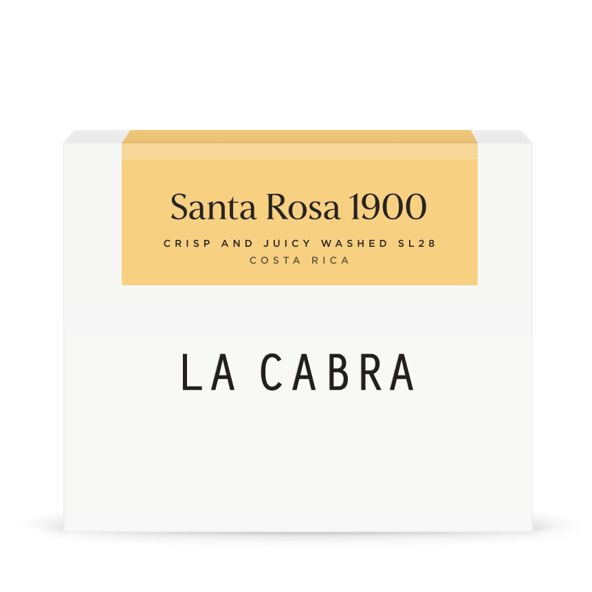 Santa Rosa 1900