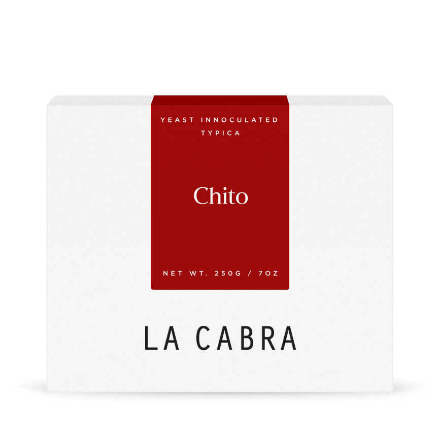 Chito Yeast Typica