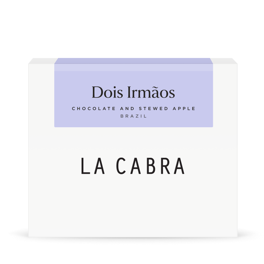 Dois Irmãos