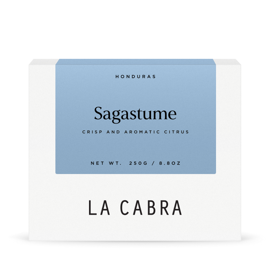 Sagastume Washed Parainema