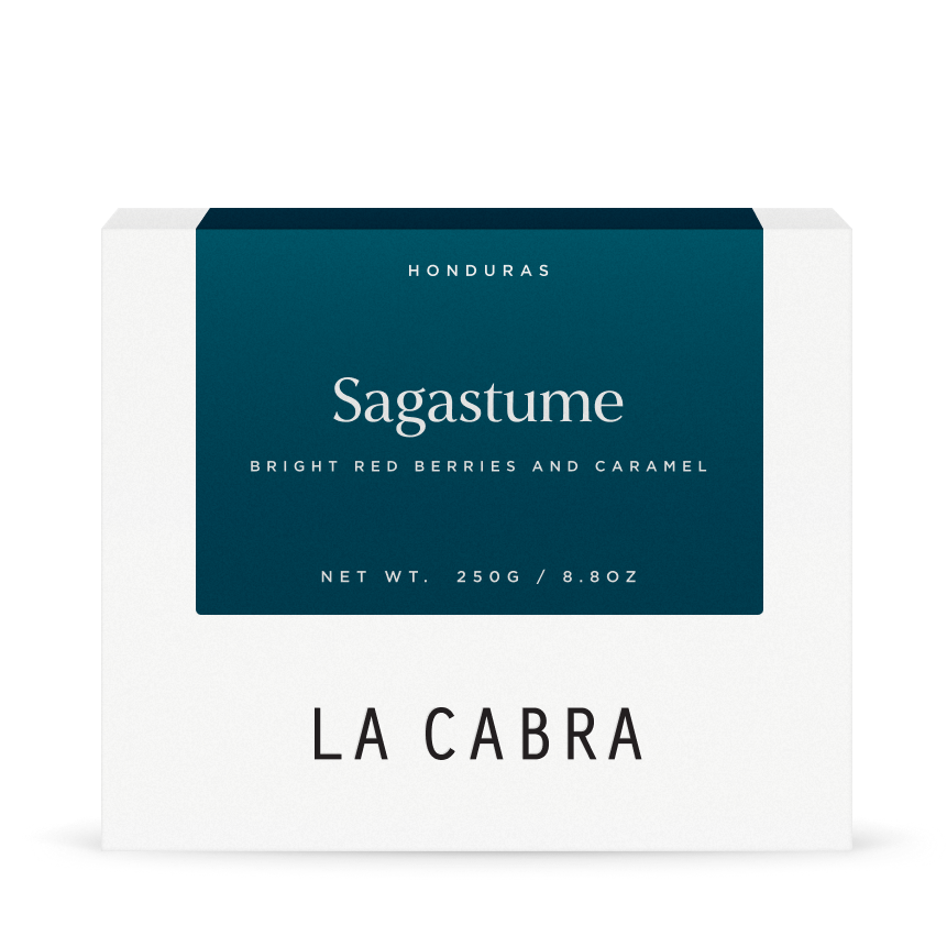 Sagastume Washed SL28 250g coffee La Cabra