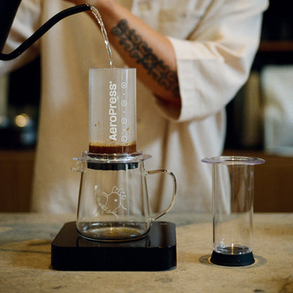 Aeropress clear environment