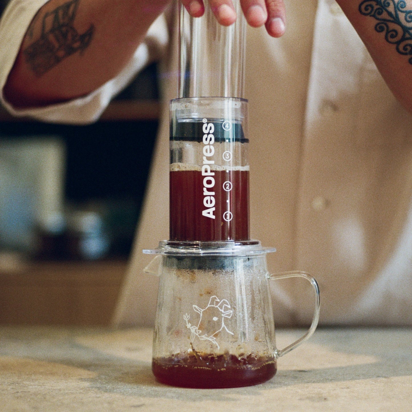 Aeropress clear environment 1