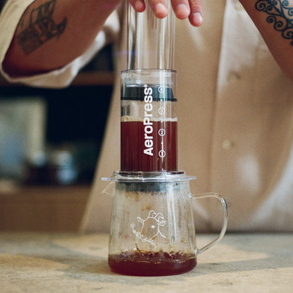 Aeropress clear environment 1