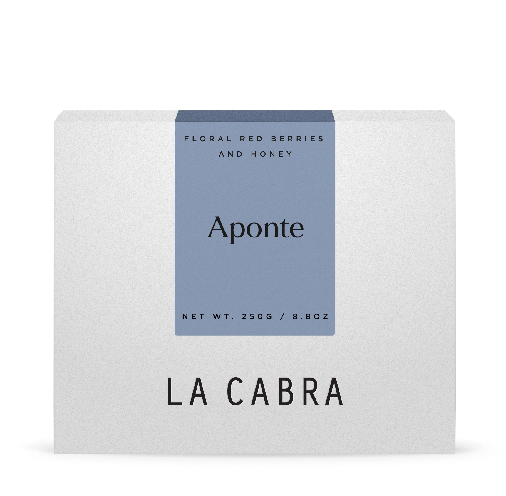 Aponte