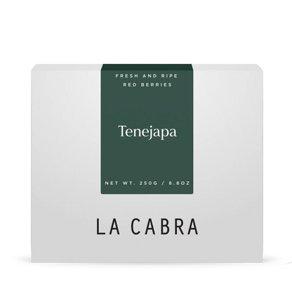 Tenejapa