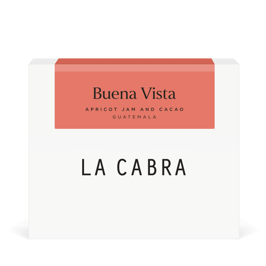 Buena Vista