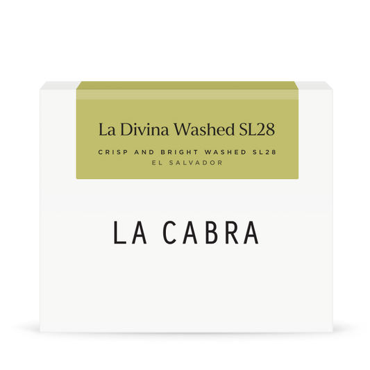 La Divina Washed SL28