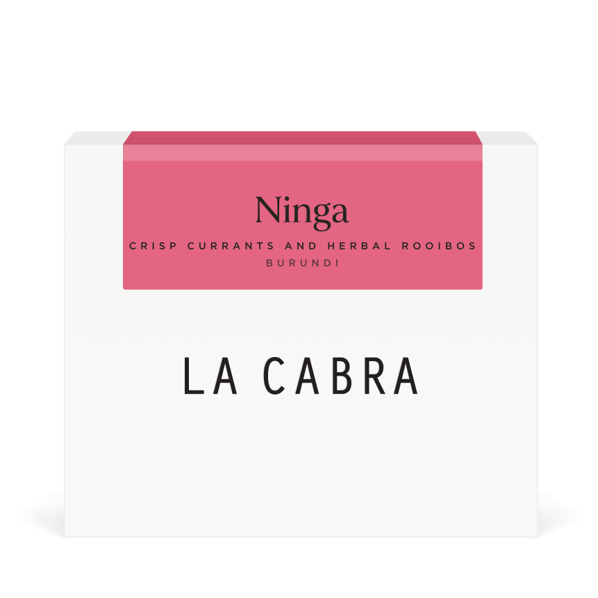 Ninga