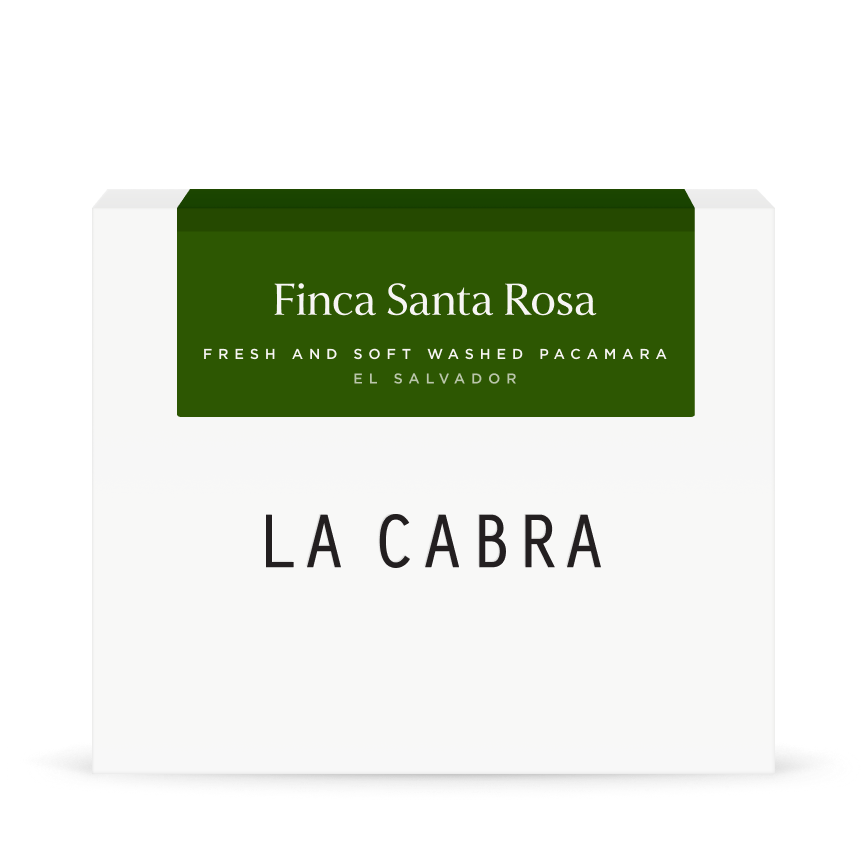 Finca Santa Rosa Washed