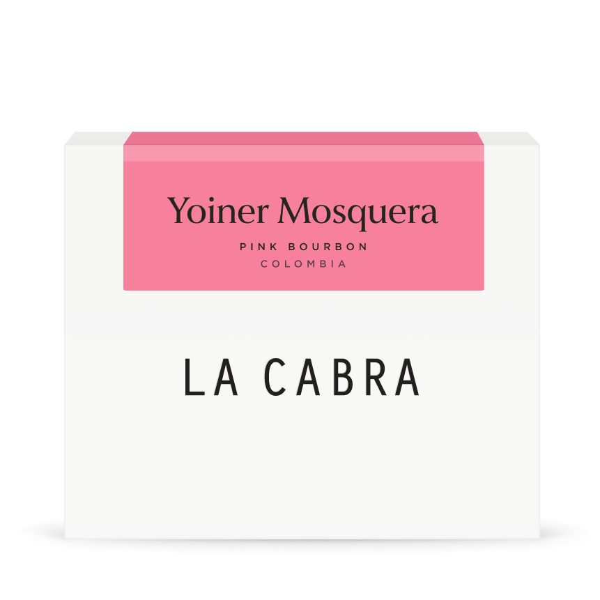 Yoiner Mosquera Washed Pink Bourbon