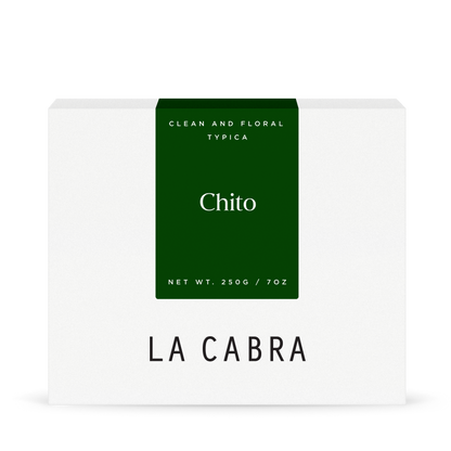 Chito