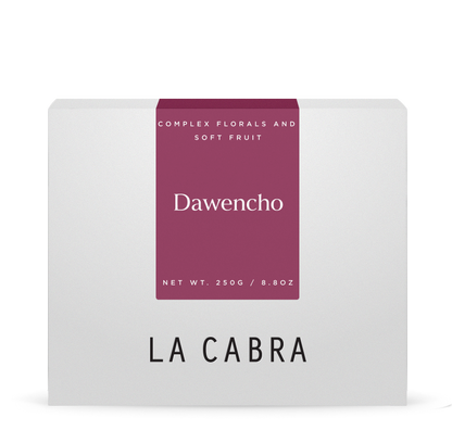 Dawencho Anaerobic