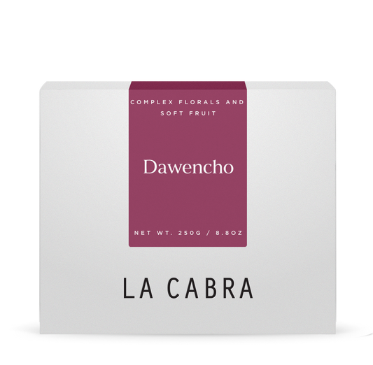 Dawencho Anaerobic