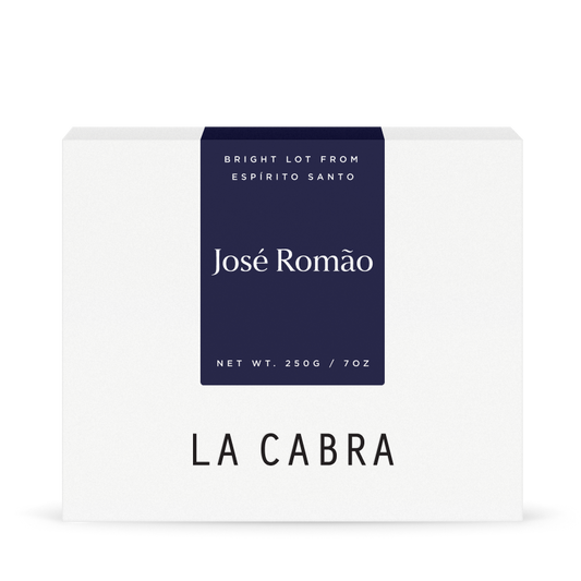 José Romão