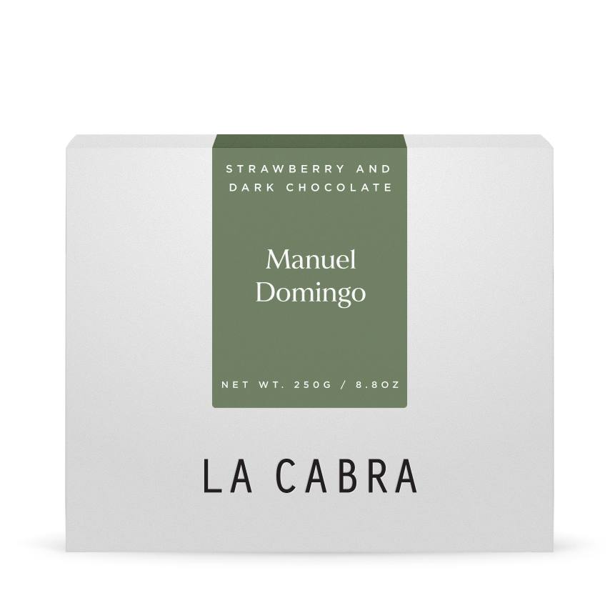 Manuel Domingo