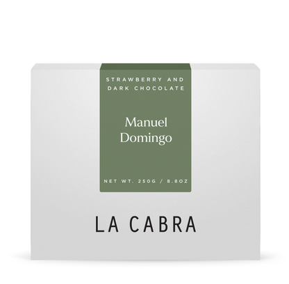 Manuel Domingo