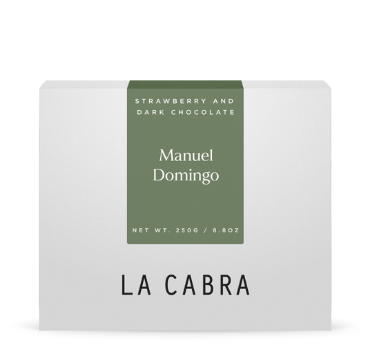 Manuel Domingo