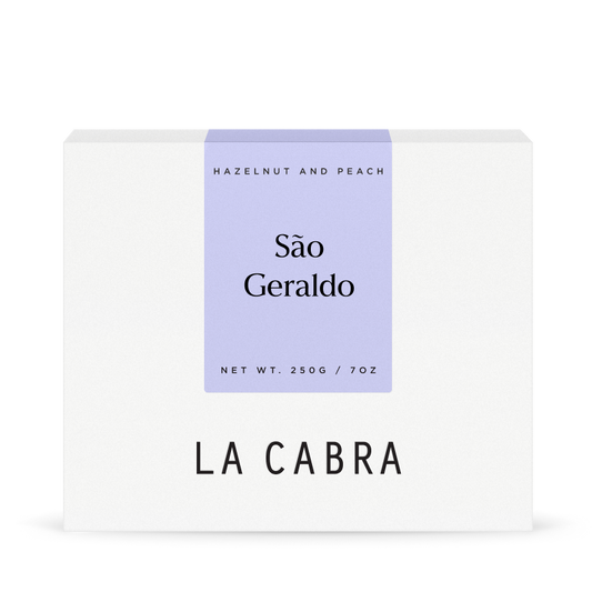 São Geraldo