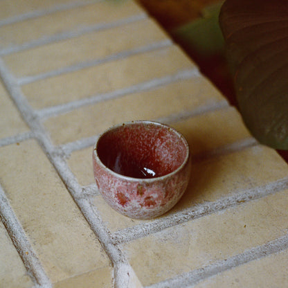 K.H.Wurtz_Ruby_-_Environment