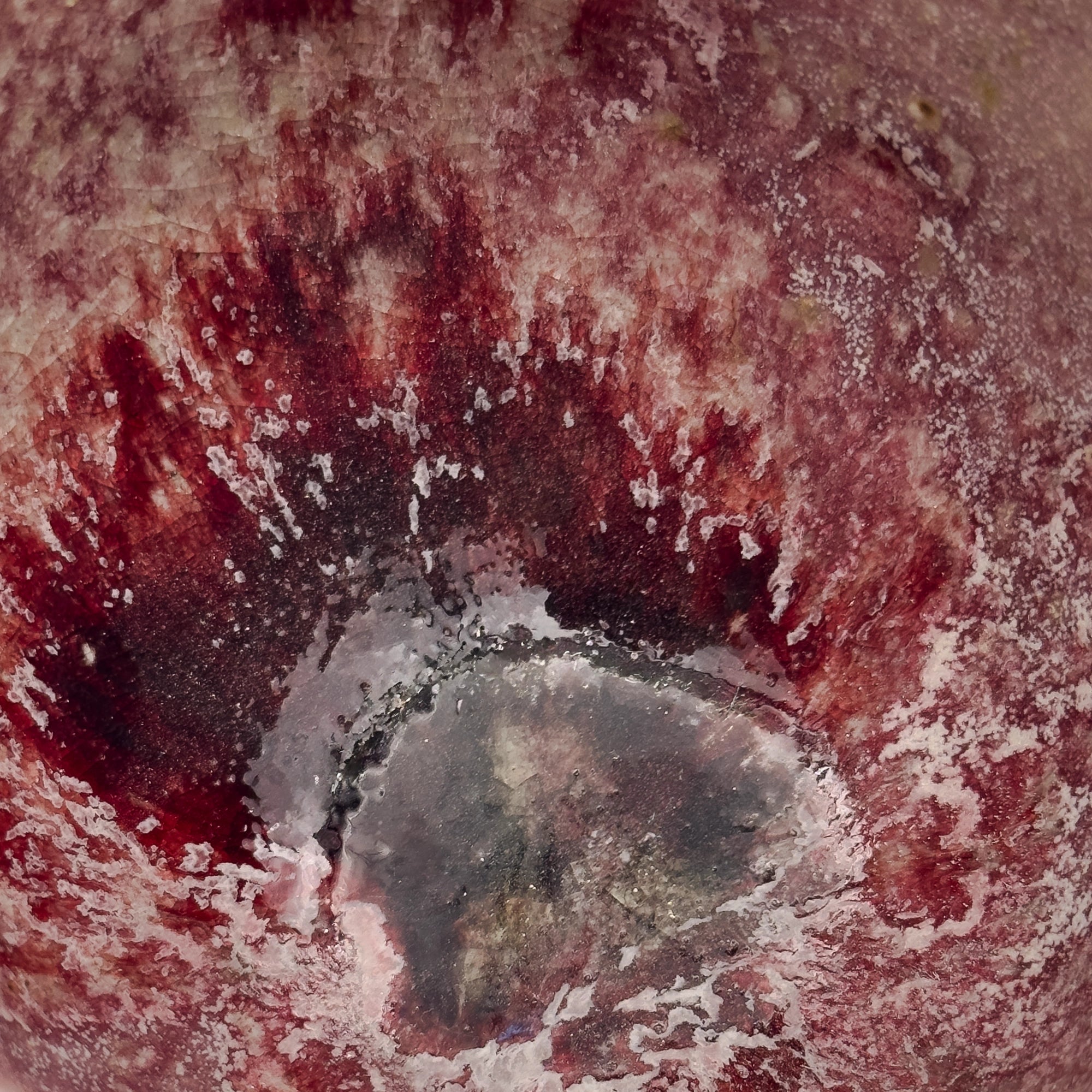 K.H.Wurtz_Ruby_-_Focus