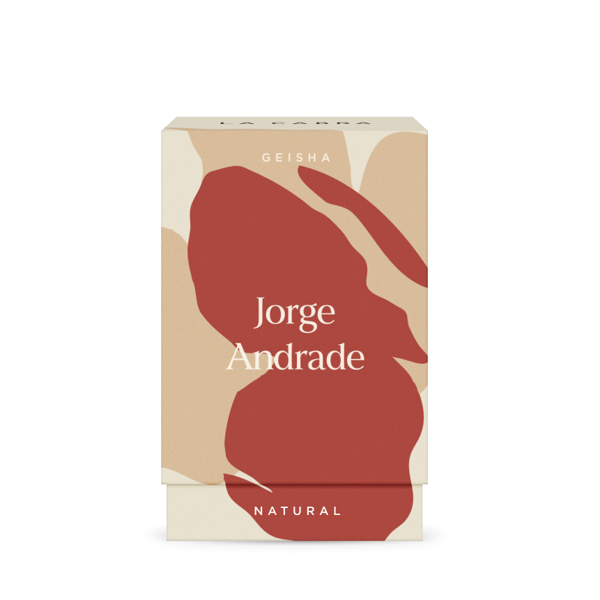 Jorge Andrade Geisha