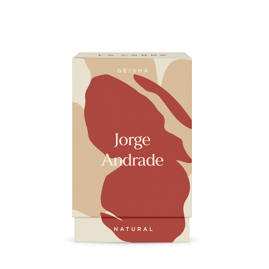 Jorge Andrade Geisha
