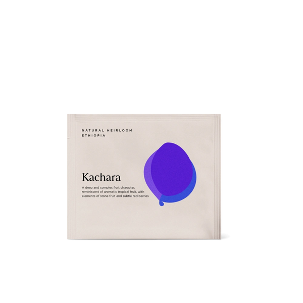 Steeped_Kachara_Single Unit