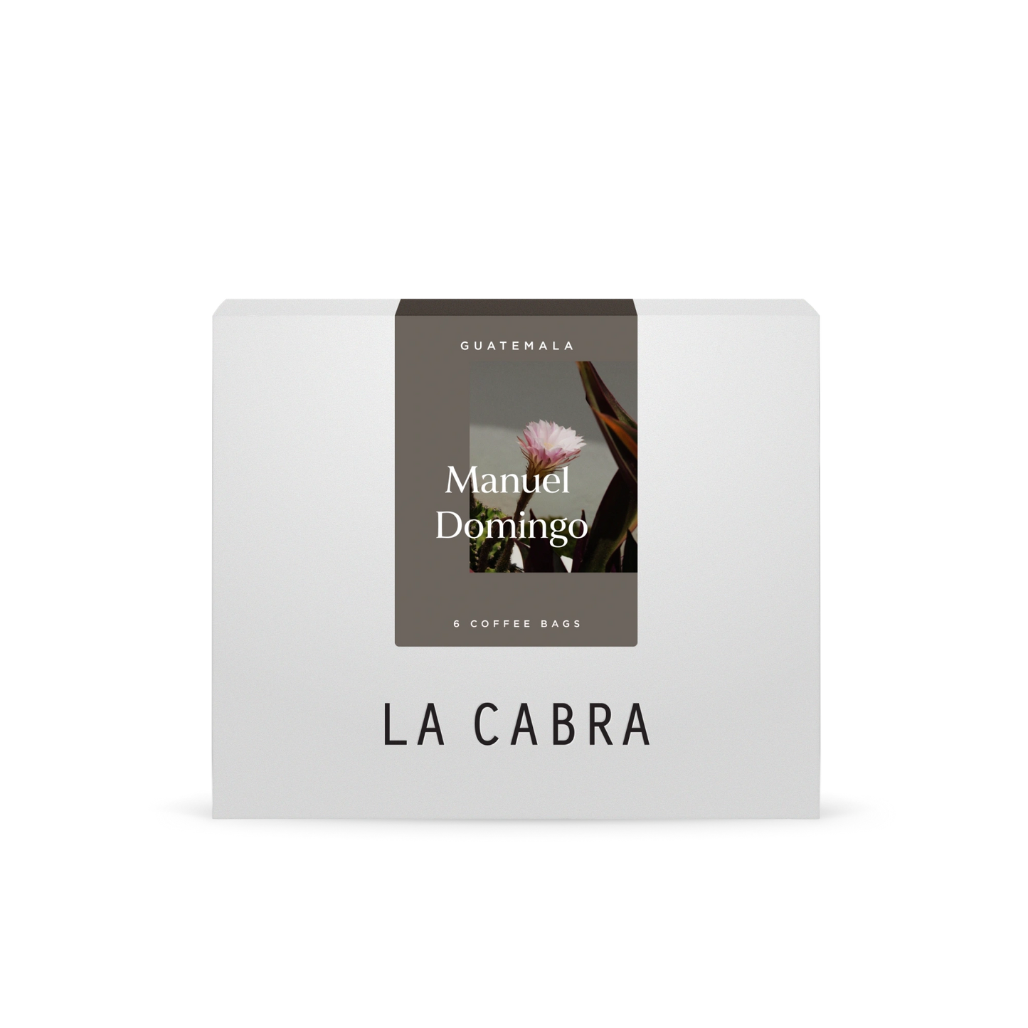 Manuel Domingo - Steeped