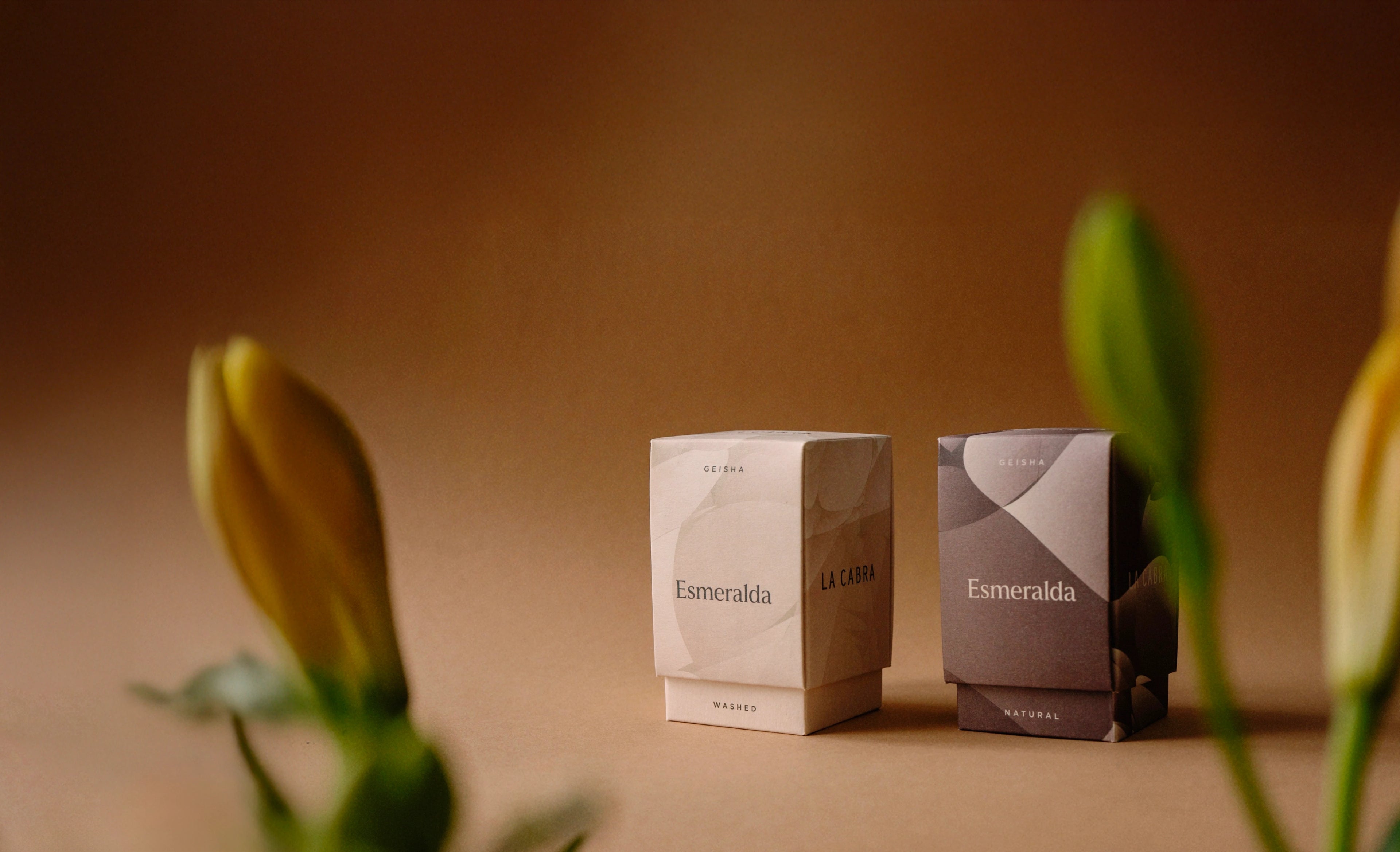 Two Esmeralda boxes with flowers on a warm-toned background