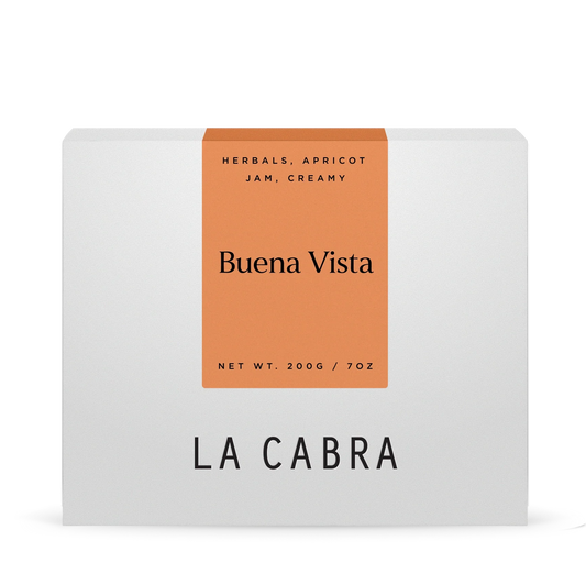 Buena Vista Pacamara