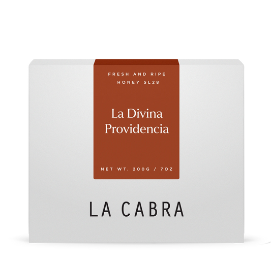 La Divina Honey SL28