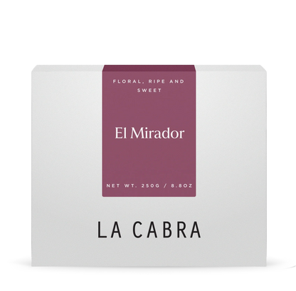 El Mirador