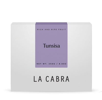Tunsisa