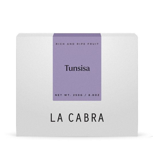 Tunsisa